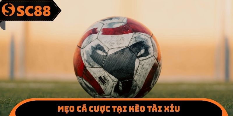 Mẹo cá cược tại kèo tài xỉu