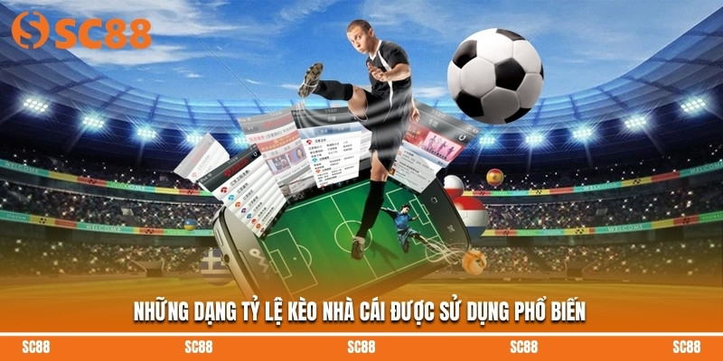 Những dạng tỷ lệ kèo nhà cái được sử dụng phổ biến